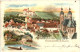 Gruss Aus Gössweinstein - Litho - Forchheim