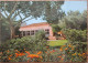 ISRAEL KIBBUTZ GALIL YAM HASHARON SHANA TOVA NEW YEAR JUDAICA CARD AK PC POSTKARTE CARTE POSTALE POSTCARD ANSICHTSKARTE - Hotelaufkleber