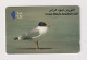 OMAN -  Bird Great Black Headed Gull GPT Magnetic  Phonecard - Oman
