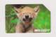 ITALY -  Wolf Cub Urmet  Phonecard - Public Ordinary