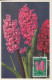 CP Max "Tulipes, Narcisses, Jacinthes) Obl. Mondorf Les Bains Le 1/4/55 Sur N° 490 à 493 - Maximum Cards