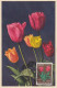 CP Max "Tulipes, Narcisses, Jacinthes) Obl. Mondorf Les Bains Le 1/4/55 Sur N° 490 à 493 - Cartes Maximum