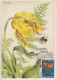 CP Max "Tulipes, Narcisses, Jacinthes) Obl. Mondorf Les Bains Le 1/4/55 Sur N° 490 à 493 - Maximum Cards