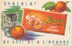 BU 2805 -  BUVARD    CHOCOLAT MEUNIER AU LAIT ET A L'ORANGE - Chocolat