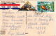 ST. VINCENT, Picture Postcard,  Mangrove Cuckoo     /     Carte Postale, Coucou - Cuckoos & Turacos