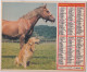 Almanach Des P.T.T.  1982 - Grand Format : 1981-90