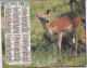 Almanach Malin  1989 - Harde De Cerfs - - Grossformat : 1981-90