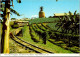 12-3-2025 (2 Y 46) Australia - QLD - Tourist Train In Big Pieneaple Plantation - Sunshine Coast