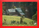 RÉGION . LIMOUSIN . " PAYSAGE . FERME " . COLLECTION PRESTIGE N° 87-P27 - Réf. N°38638 - - Limousin