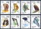 Russia 6184-6191,6191a,MNH.Michel 351-358. Wild Life 1993.Birds,Mammals. - Nuovi