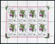 Russia 6135a,6136a Mini Sheets,MNH.Michel 298-299 Klb. Flowers 1993. - Unused Stamps
