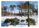 73613908 Bad Saarow-Pieskow Kurpark Mit Saarow Therme Im Winter Bad Saarow-Piesk - Bad Saarow