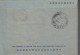 1949. HONG KONG. AIR LETTER  PAIR 20 CENTS Georg VI To Malmslätt, Sweden Via London Cancelled... (Michel 147) - JF543287 - Briefe U. Dokumente