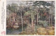 Panorama Du Congo De Paul MATHIEU Et Alfred BASTIEN  Forêt Pont De Lianes - Congo Belge