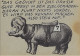 Rhinozeros, Künstlerkarte Mit Charles Bukowski-Zitat, Nicht Gelaufen - Neushoorn