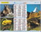 Almanach Du Facteur  2007 - Mont Cervin, Valais, Suisse - Corvara, Haut Adige, Tyrol Sud, Italie - Tamaño Grande : 2001-...