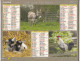 Almanach Du Facteur  2011 - Ane - Chevreaux - Coq Brakel - Vache Charolaise - Porcelets - Cheval Haflinger ... - Grand Format : 2001-...