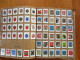 Delcampe - KURMARK CIGARETTEN Wappenschau  CIGARETTE CARDS IN ALBUM , 16-14 - Collections & Lots