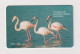 CYPRUS -  Birds Black Headed Gulls And Greater Flamingo Chip  Phonecard - Chypre