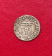 Hongrie. Beau Denier En Argent Ferdinand Ier 1537. Etat TTB - Hongrie