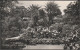 The Abbey Gardens, Tresco, Scilly, 1949 - James Gibson RP Postcard - Scilly Isles