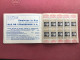 Delcampe - CARNET DE TIMBRES ANTITUBERCULEUX 1934 Complet - Tuberkulose-Serien