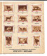 GF586 - ALBUM COLLECTEUR PASTILLES VALDA - ANIMAUX SAUVAGES - Albums & Catalogues