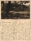 Ansichtskarte Ochsensaal-Dahlen Partie Am Krummen Teich 1919 - Dahlen