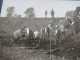 Foto AK 1910 / 20er Jahre Männer Bei Der Arbeit / Torfstechen ?! Abtransport Der Grasnabe Auf Einem Karren - Paysans