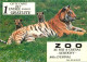 Animaux - Fauves - Tigre - Tiger - Zoo Au Fer à Cheval De Xertigny - CPM - Voir Scans Recto-Verso - Tijgers