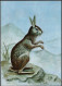 Mozambique 1983. Entier Postal Illustré. Lapin - Rabbits