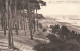 FRANCE - Arcachon - Côte D'Argent - Parc Des Abatilles - La Côte Vers Le Moulleau - Carte Postale Ancienne - Arcachon