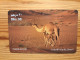 Prepaid Phonecard United Arab Emirates, Etisalat - Camel - Ver. Arab. Emirate