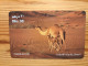 Prepaid Phonecard United Arab Emirates, Etisalat - Camel - Emiratos Arábes Unidos