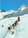 Delcampe - 6 CP CHEVAUX MONT ST GOTTHARD-PASS CHALET BOUQUETINS CHIENS DE TRAINEAUX VOIR SCANS - Colecciones Y Lotes