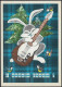 URSS 1971. Carte, Entier Postal. Nouvel An, Lapin Et Guitare - Conigli