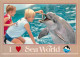 Animaux - Sea World - Feed A Dolphin - Zoo Marin - CPM - Carte Neuve - Voir Scans Recto-Verso - Dolphins