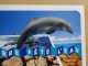 France Grand Dauphin Dolphin Delfino Delfin Dolfijn DelfÍn Delfiini Golfinho Fête Du Timbre 2010 L'eau - Dolfijnen