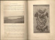 Delcampe - Livre "LES CANARDS SAUVAGES ET LEURS CONGENERES". EO 1908. LOUIS TERGNIER & FERNAND MASSE. 751 Pages. - Caza/Pezca