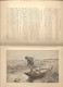 Delcampe - Livre "LES CANARDS SAUVAGES ET LEURS CONGENERES". EO 1908. LOUIS TERGNIER & FERNAND MASSE. 751 Pages. - Fischen + Jagen