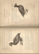 Delcampe - Livre "LES CANARDS SAUVAGES ET LEURS CONGENERES". EO 1908. LOUIS TERGNIER & FERNAND MASSE. 751 Pages. - Caza/Pezca