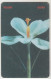 ALBANIA - Flower ,CN: Black, 08/99, Tirage 90.000, 100 U, Used - Albanien