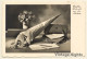 Tornister, School Cone & Flowers / Still Life (Vintage RPPC ~1910s/1920s) - Schulen