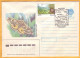 1992 Moldova Moldavie 3 Lots Special Cancellations Kodrii Moldova. Forest. Wood Pigeon Butterfly (1 Cover+2 Postcard) - Gallináceos & Faisanes