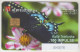 ALBANIA - Butterfly ,CN: Black, 08/04, Tirage 75.000, 100 U, Used - Albanie