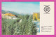 309636 / Bulgaria - Radio Sofia ( African Section) QSL Card , The Resort Of Pamporovo Hotel Winter 197. PC Bulgarie - Radio