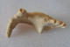 Stalactite 79 Grammes 90 Mm X 5,5 X 20 Mm Origine France - Mineralien