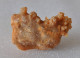 Stalactite 72 Grammes 60 Mm X 40 Mm X 20 Mm Origine France - Mineralien