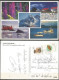 Antarctica #2 PPCs By Cruise Vessel "The Explorer" From Ushuaia 1996 + El Calafate Glacier Perito Moreno 2006 Argentina - Preservar Las Regiones Polares Y Glaciares