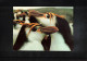 Australian Antarctic Territory 1996 Antarctica - Base Macquarie Island - A.Nat.Ant.Research Exped. - Royal Penguins - Bases Antarctiques